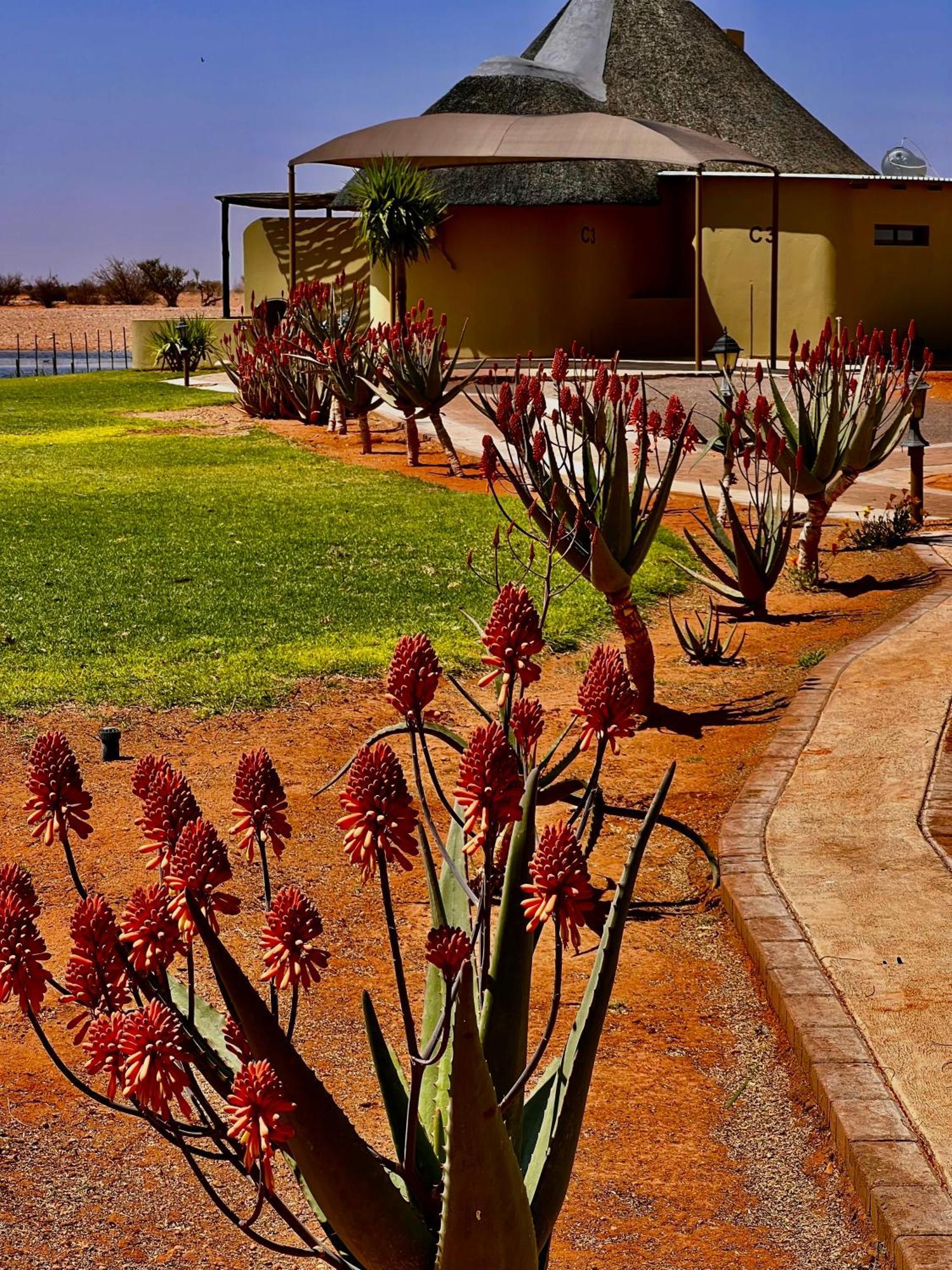 Lapa Lange Game Lodge Mariental Kültér fotó